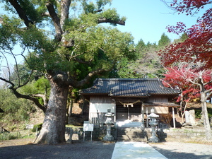 P1080177.JPG
