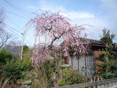 P1080322.JPG