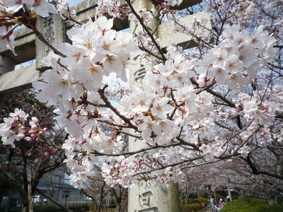 P1080579.JPG