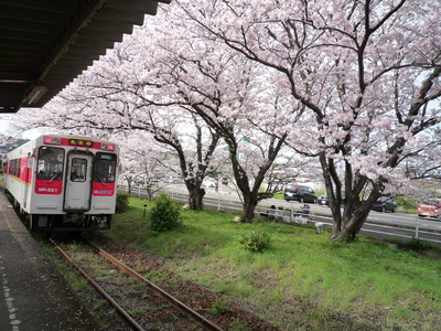 P1080645.JPG