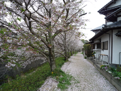 P1080675.JPG