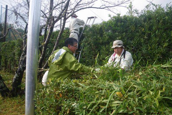 volunteer_20161122-01.jpg