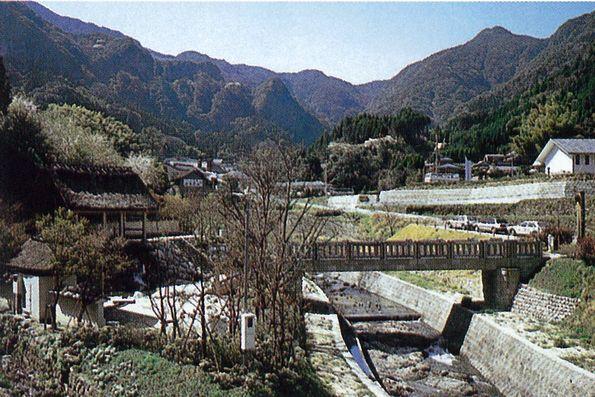 01_hanyou-tm01.jpg