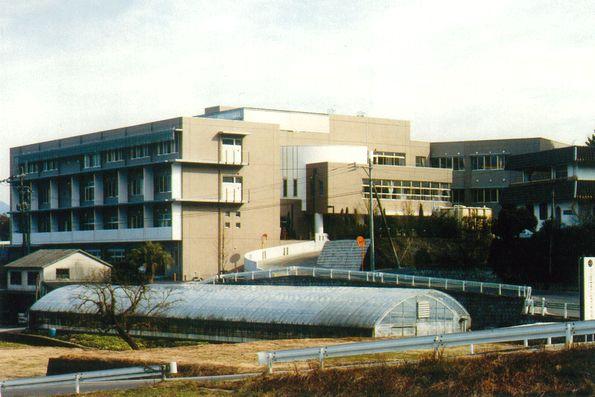 04_sanare-tm02.jpg